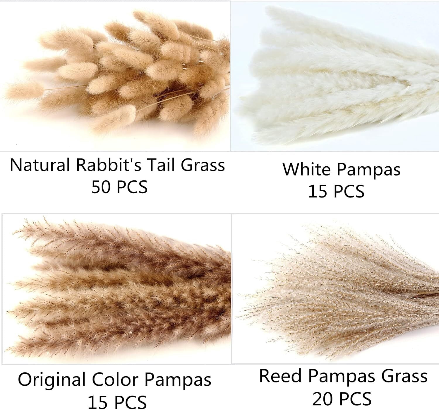 GoXteam 100Pcs Pampas Grass Decor-Bunny Tails Dried Flowers, Reed Grass Bouquet for Spring Home Wedding Table Vase Boho Decor