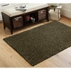 Canopy Stain-resistant Textured Shag Rug