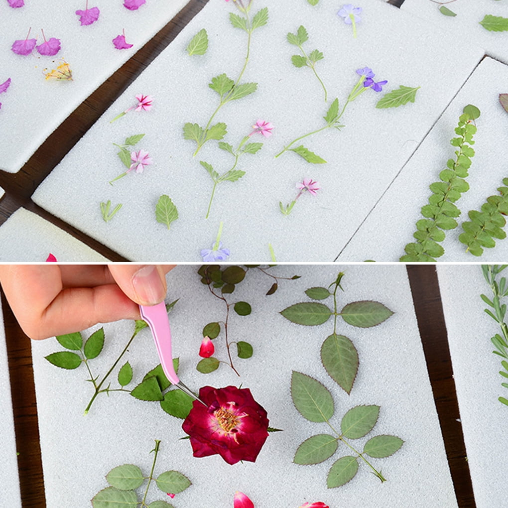 Buy Flower Press Kit Professional Pressing Plate Dry Plate Including