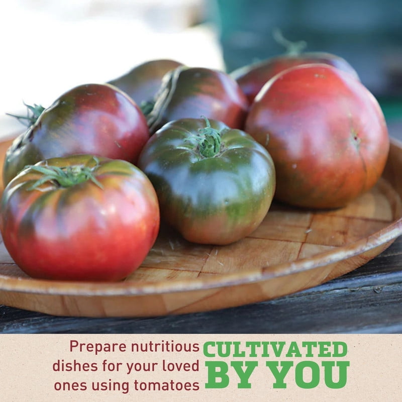 Harris Seeds Tomato Medusa ,Organic Variety, Non-GMO, Indeterminate, 50 Count