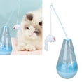 thumbnail image 4 of Interactive Cat Toy, Stimulates Nature Cat Snack Toy Clear Color Attractive  For Indoor Blue, 4 of 8