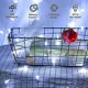 thumbnail image 2 of Christmas outdoor fairy lights, 10M 100 LED Christmas decoration waterproof fairy lights power 8 modes fairy lights with memory function for indoor ba, 2 of 4