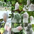 thumbnail image 6 of 100Pcs Garden Plant Fruit Cover Protect Net Mesh Bag Against Insect Bird Pest, 6 of 7