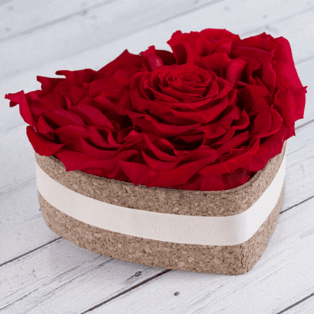 Ecuador USA Roses | Preserved Roses | Cool Maroon