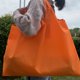 thumbnail image 1 of Bolsa de protección del medio ambiente plegable de dibujos animados, bolsa de compras de protección del medio ambiente de tela oxford, bolsa de almacenamiento portátil, 1 of 1