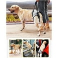 thumbnail image 4 of tredstone Dog Lifting Support Harness Auxiliary Belt Dog Sling for Back Legs Portable XL, 4 of 9