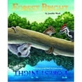 thumbnail image 1 of Pre-Owned Forest Bright, Forest Night (Hardcover) 1584690666 9781584690665, 1 of 1