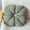 Mint Green, variant on Orangide Velvet Chair Cushion, 14" Round Floral Pillow with Adjustable Strap for Office Chair Ottoman Floor Mat, Indoor Outdoor Seat Cushion
