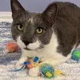 thumbnail image 5 of Spot Stringy Mice and Balls Catnip Cat Toys - Interactive Play Set for Cats, 5 of 5