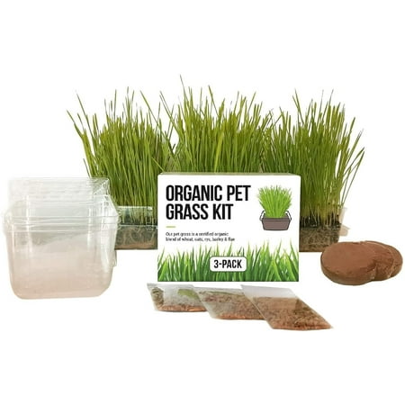 The Cat Ladies Cat Grass Kit - Organic Seed, BPA-Free Pots - Locally Sourced, 3-Pack