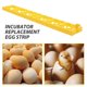 thumbnail image 2 of BRIGHTFUFU Mini incubadora, bandeja automática de plástico para huevos de gallina, bandeja para incubadora, 2 of 8