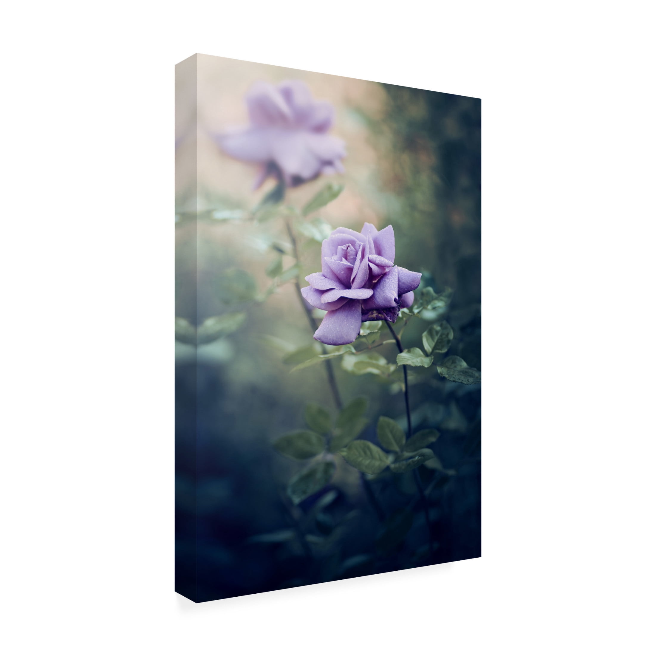 Canvas Wall Art - ajkabajka 'Retro Flowers' Wall Art for Living Room, Bedroom, or Office D?cor by Trademark Fine Art - 16 x 24 Inches