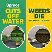 Spruce Weed & Grass Killer Refill, 64 oz.