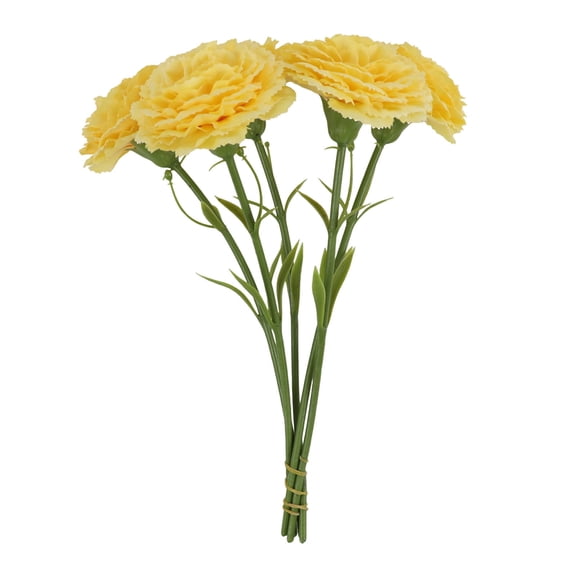 Day Carnation Bouquet for Home Decoration and Vase Floral Arrangement