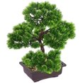 thumbnail image 2 of Planta decorativa en maceta de pino Bonsai-Beauty Ormromra  HFP-0285, 2 of 8