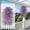Purple, variant on Simulated Violet Artificial Flower Living Room Ceiling Decoration Plastic Wrapping Plants Fake Flowers Vines Artificial Flowers