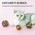 thumbnail image 2 of Interactive Cat Toy With Inside Natural Wooden Teaser For Indoor Outdoor Play Stimulating Exercise, 2 of 6