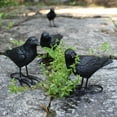 thumbnail image 4 of YATLTE Raven Black Bird, Resin Fake Crow, Raven Statue Black Bird, Ornament Wood Hanging Figurine Holiday Decoration Handmade Carving Small Animal, 4 of 6