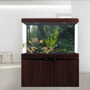 Noref PVC Fish Tank Poster, Fish Tank Background Poster, Fish Tank For Aquarium