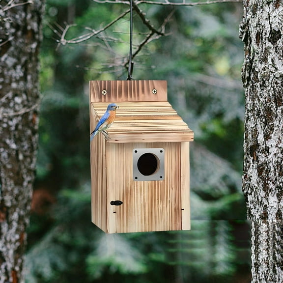 Cedar Bluebird Box Houses for Outside, 1-1/2” Entrance Hole Wooden Bird Houses with Metal Predator Guard, Secure Latch, Fledgling Grooves, Air Vents for Bluebird Wren Swallow Finch