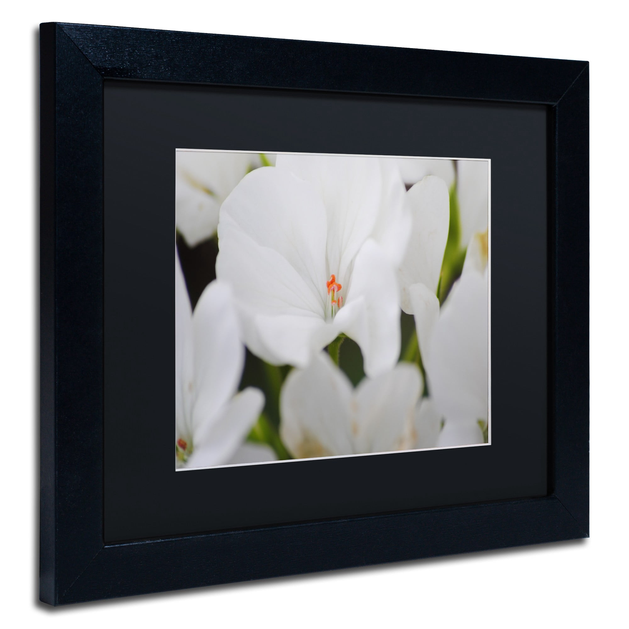 Trademark Fine Art "Clustered Jewel" Canvas Art by Monica Mize, Black Matte, Black Frame