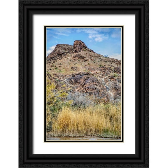 Jaynes Gallery 17x24 Black Ornate Wood Framed with Double Matting Museum Art Print Titled - Arizona Ancient petroglyphs on rocks