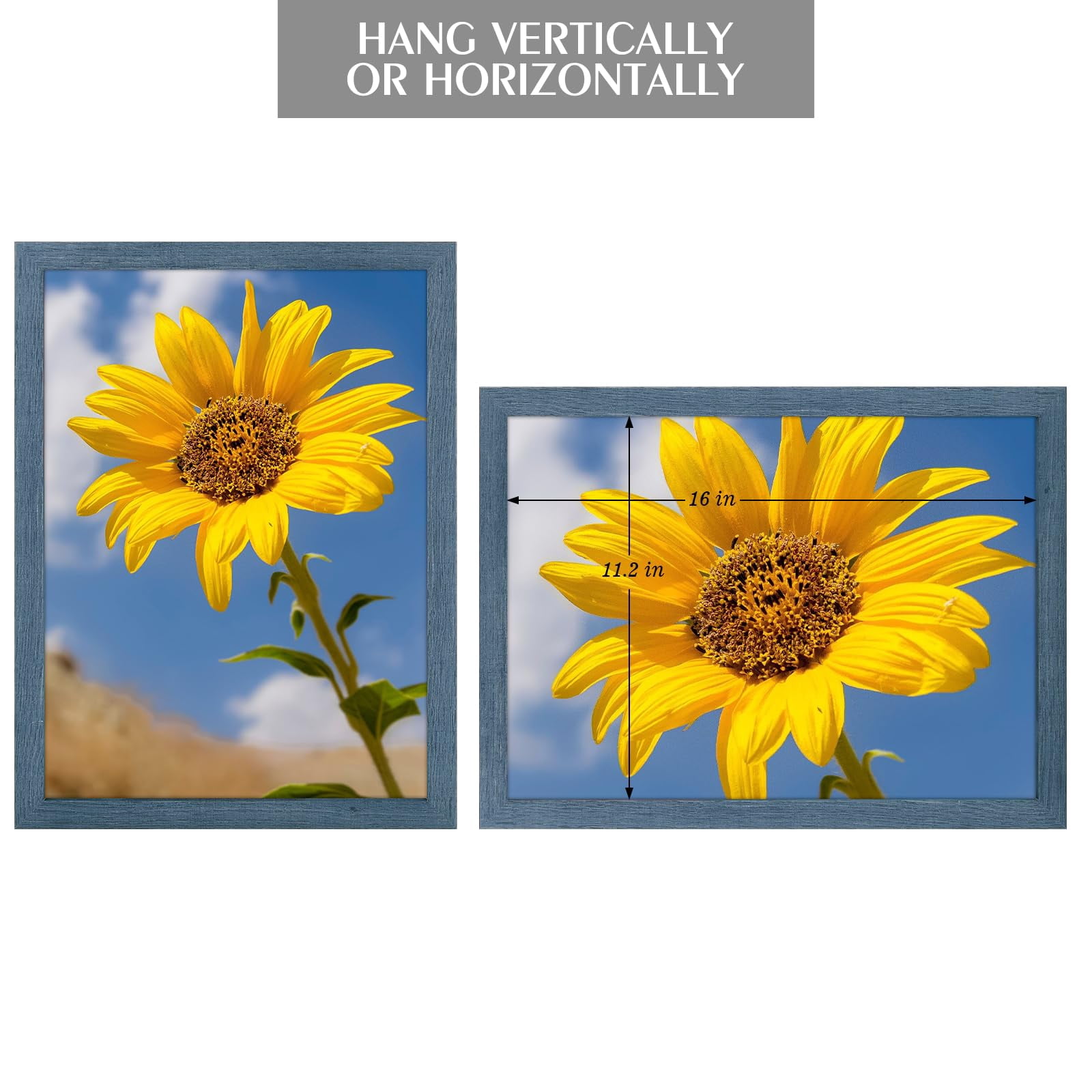 Golden State Art A3 11.7x16.5 Inch Picture Frames with Plexiglass, Blue, Set of 2