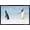 Black Framed Version, variant on The Comedy Wildlife Photography Awards: Jennifer Hadley - Talk To The Fin Wall Poster, 14.725" x 22.375"