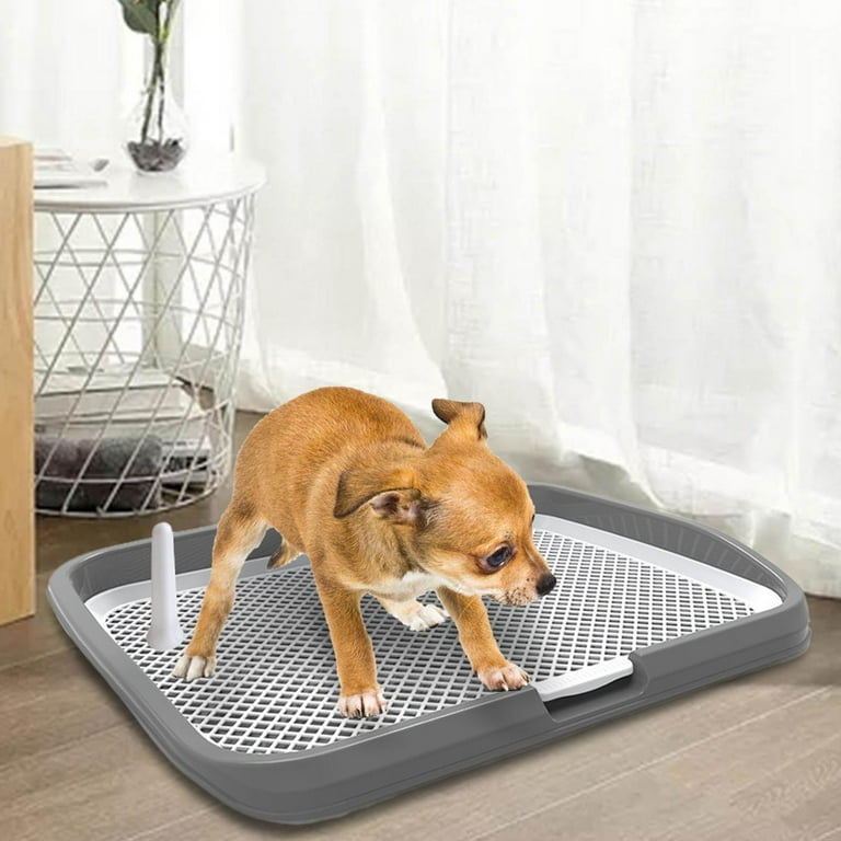 Extra large top indoor dog potty