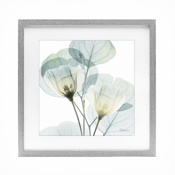 Stupell Industries Traditional Divine Fate Flower Leaves Gray Framed Print Under Glass, 16 x 16, by Albert Koetsier
