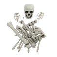 thumbnail image 2 of JJKBVCLO 19 Of Human Skeleton Bulk Suit Halloween Simulation Model Escape Loose Bone Props Atmosphere Props Decoration, 2 of 8