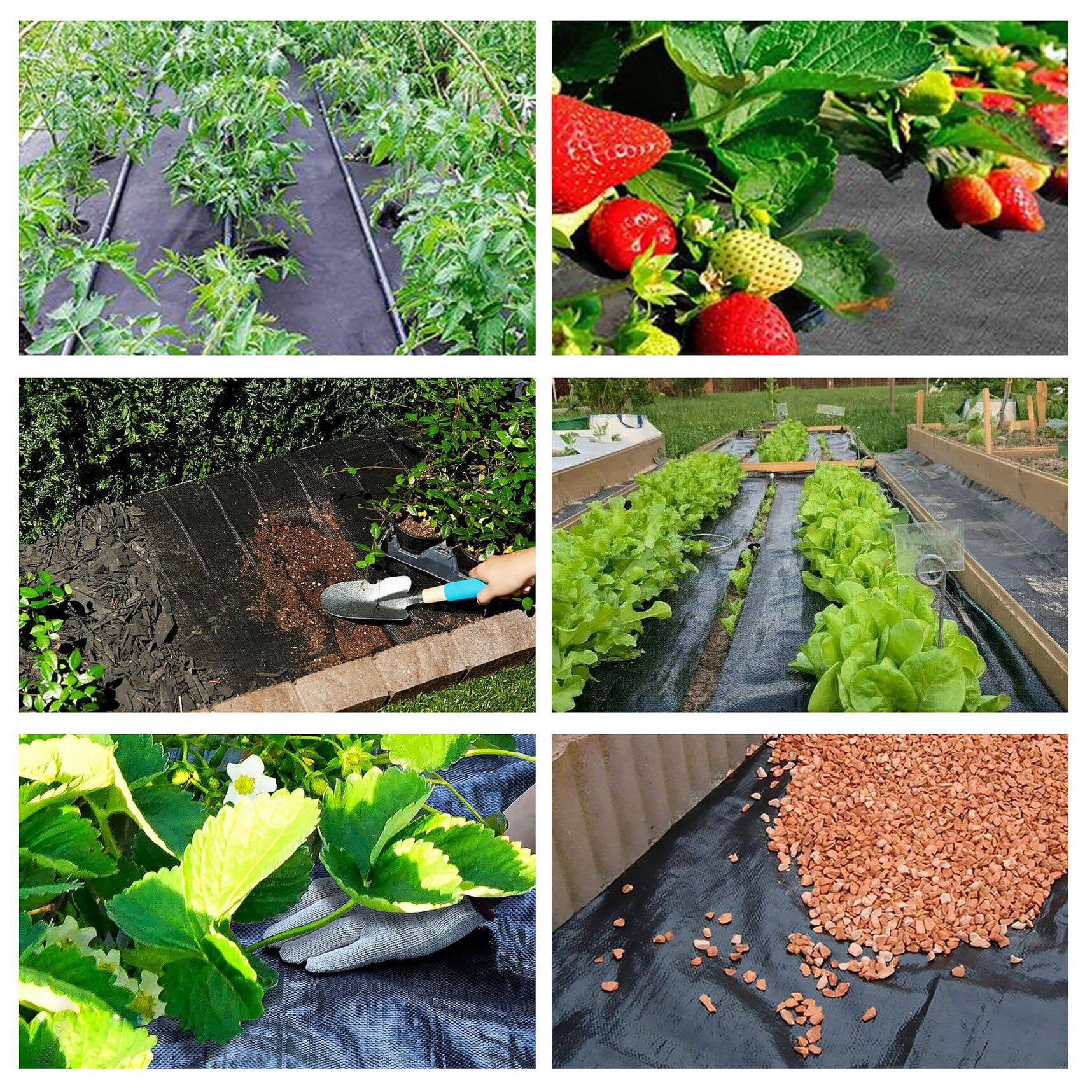 Weed Cover Landscape Fabric Woven Ground Barrier 4FT x 200FT Heavy-duty Weed Block Gardening Weed Matting Easy Setup & Superior Weed Control for Flower Bed, Yard, Garden