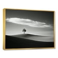 thumbnail image 2 of Designart "Black And White Meadow Photography With A Solitary Tree" Meadow Floater Framed Canvas Art Print, 2 of 5