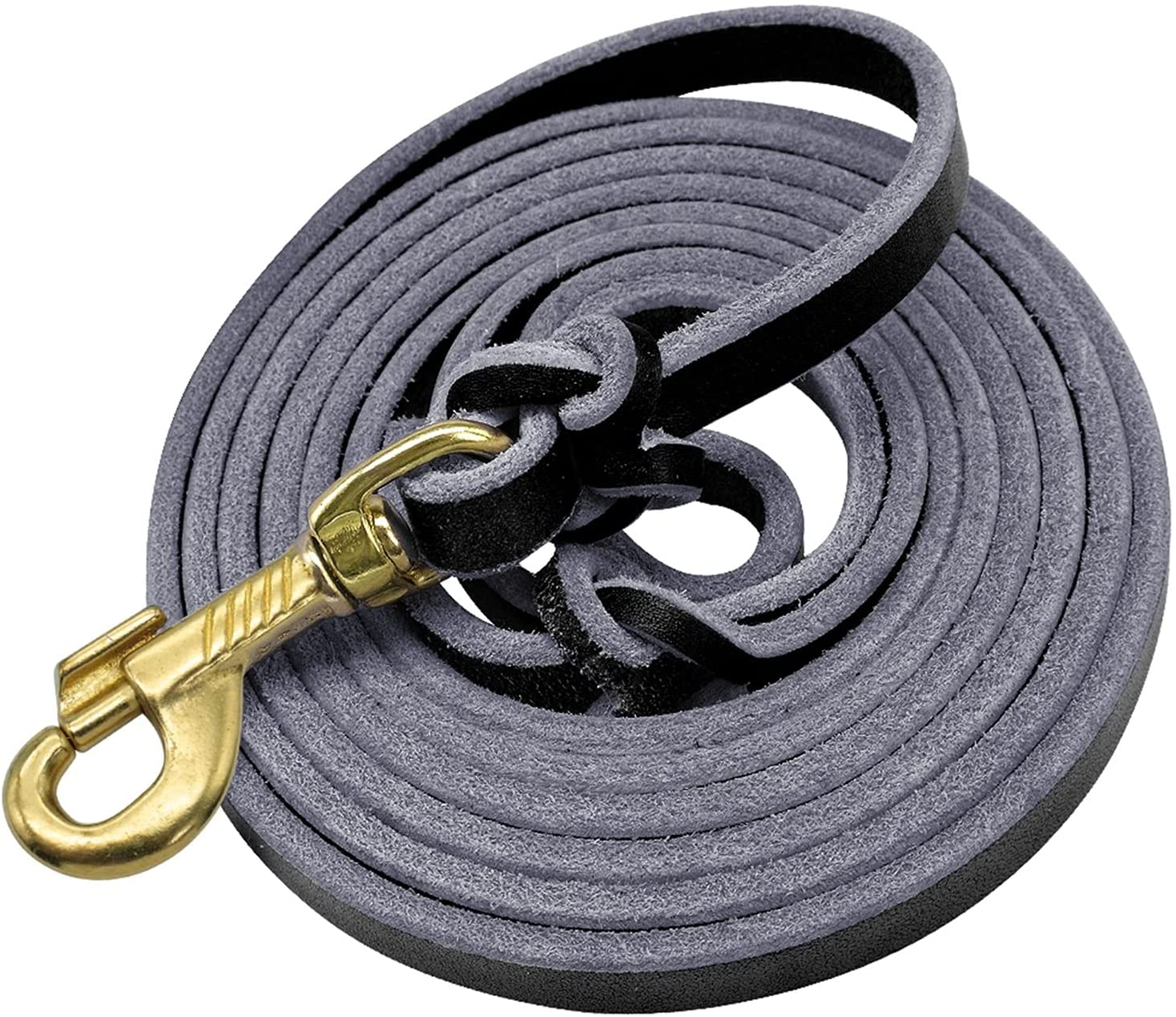 strong leash for pitbull