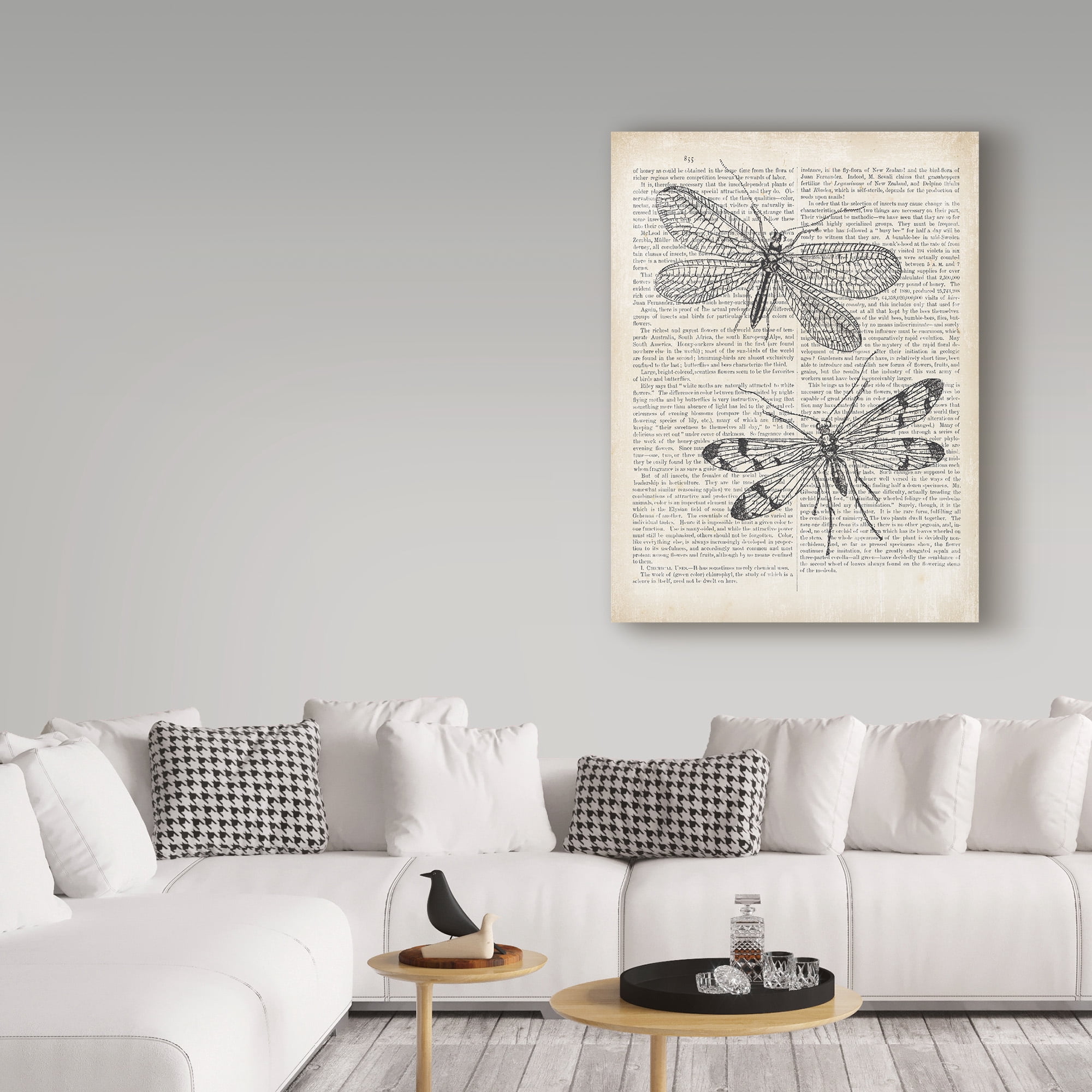 Trademark Fine Art 'Vintage Dragonflies on Newsprint' Canvas Art by Wild Apple Portfolio
