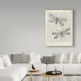 thumbnail image 3 of Trademark Fine Art 'Vintage Dragonflies on Newsprint' Canvas Art by Wild Apple Portfolio, 3 of 3