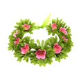 thumbnail image 1 of Conjunto de disfraz de Moana para niñas con peluca y collar con clip de flores, accesorios para disfraz de Vaiana para Halloween, mascota de Moana, cerdo y gallo, regalo de Navidad, 1 of 1