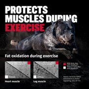 Bully Max Liquid Muscle Gain Supplement