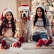 thumbnail image 4 of Paquete de 2 collares navideños para perros, collares clásicos para perros a cuadros de búfalo con pajarita extraíble, ajustable, 4 of 5