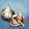 thumbnail image 3 of Jensen, Asia 15x15 Black Modern Framed Museum Art Print Titled - Garlic, 3 of 5