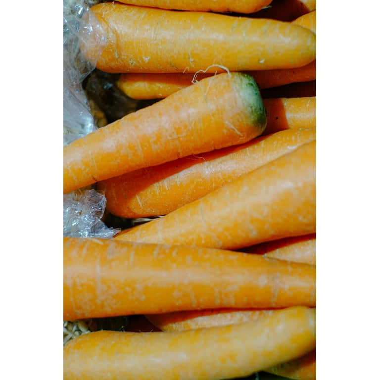 Little Finger Carrot Seeds/ Biennial/ Full Sun/ 76K Seeds 1