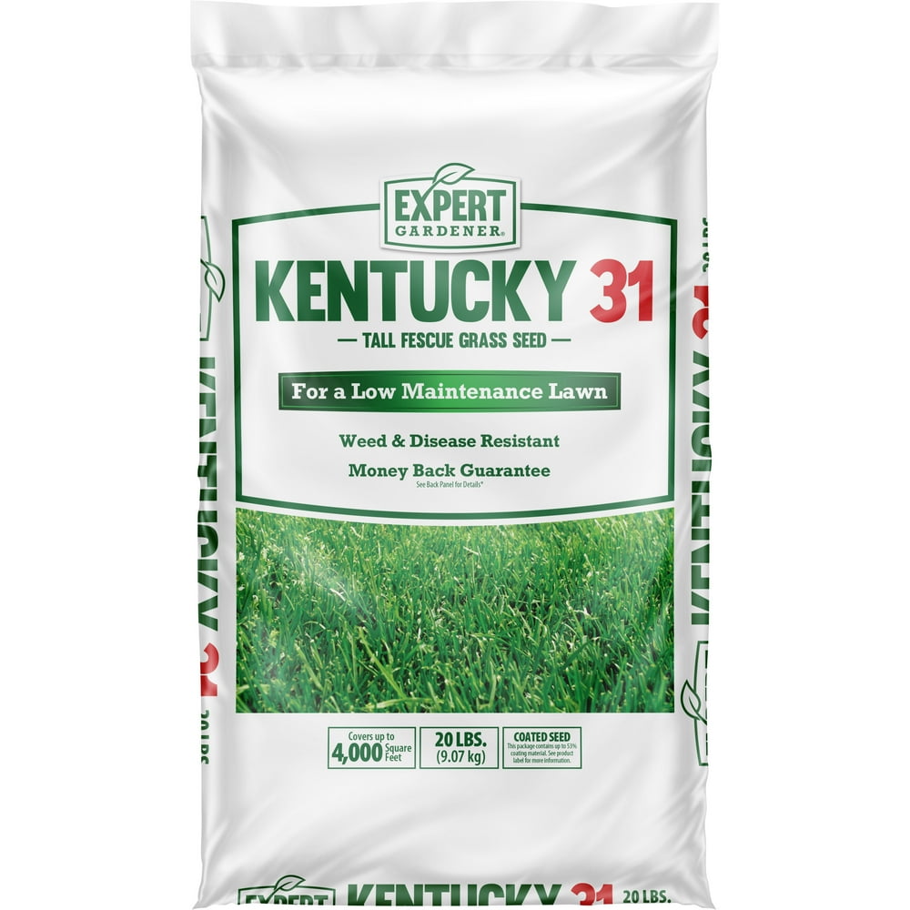 Expert Gardener Kentucky 31 Tall Fescue, KY31 Grass Seed; 20 Pound Bag