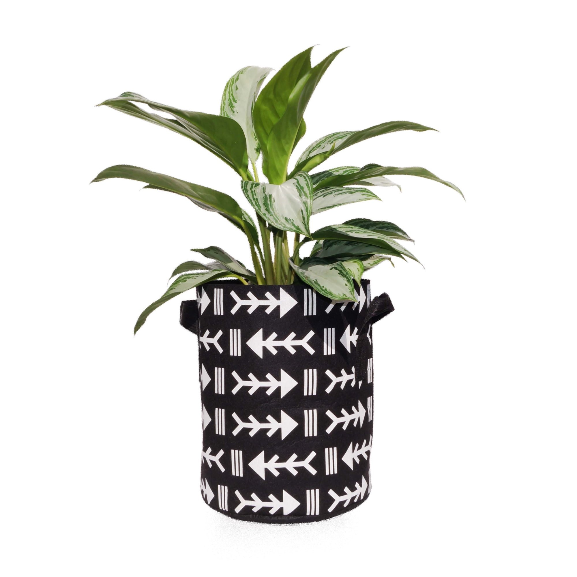 Darware Boho Mini Grow Bags (Set of 4, Boho Design); 1.5 Quart Small Fabric  Planter Pots for Outdoor / Indoor Use