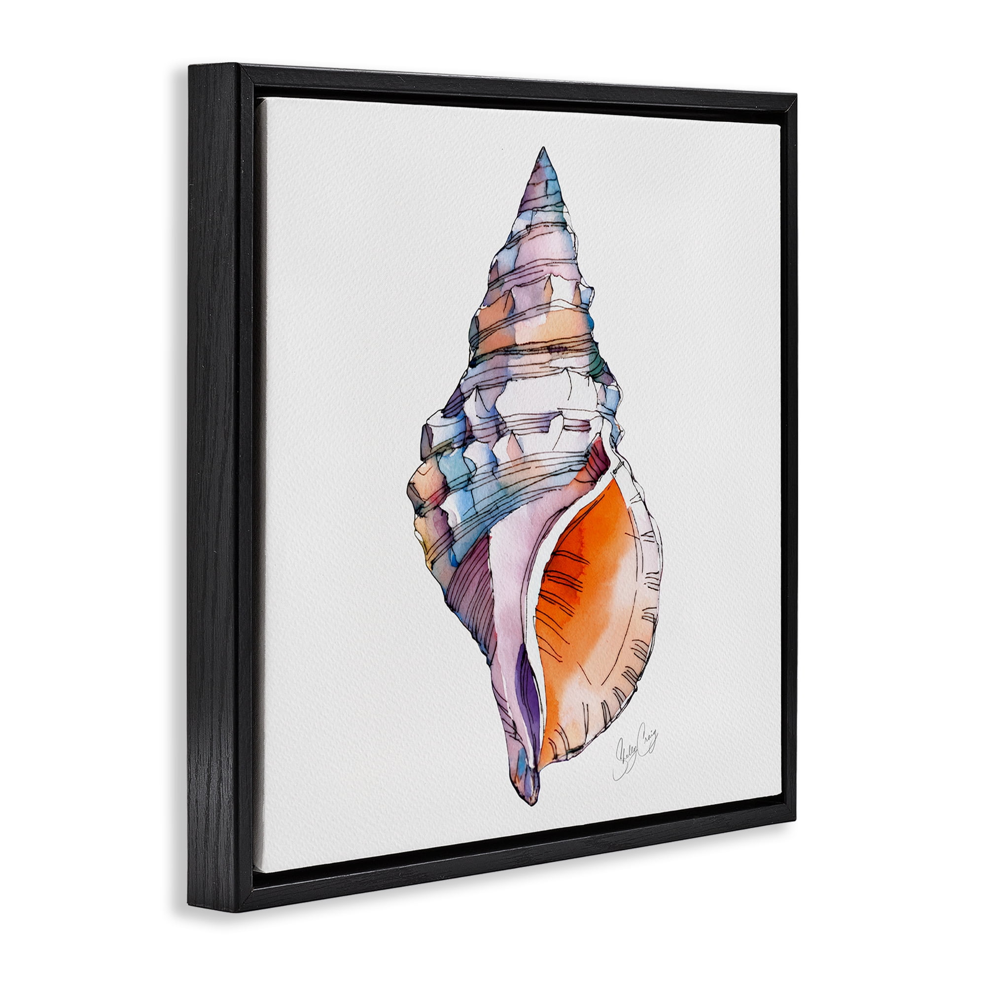 Stupell Industries Sunrise Conch Shell Black Framed Floater Canvas Wall Art, design by Shelly Craig
