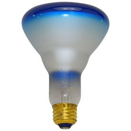 

Replacement for BATTERIES AND LIGHT BULBS 75R30/B 2 PACK replacement light bulb lamp