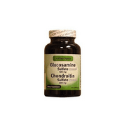 Basic Organics Glucosamine Chondroitin 500/400 60 Capsule
