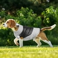 thumbnail image 2 of Thick Warm Dog Windproof Vest - Insulated, Comfortable Fit, Durable, Machine Washable, Perfect Winter Apparel for Dogs, 2 of 6