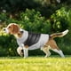 thumbnail image 2 of Acogedor y con estilo: Grueso perro caliente ropa a prueba de viento chaleco de ropa de invierno perfecto para su perro, 2 of 7