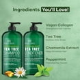 thumbnail image 5 of Botanic Hearth Tea Tree Shampoo and Conditioner Set infused with Vegan Collage, 16 fl oz each - Sulfate & Paraben Free - for Itchy and Dry Scalp - Men and Women, 5 of 10