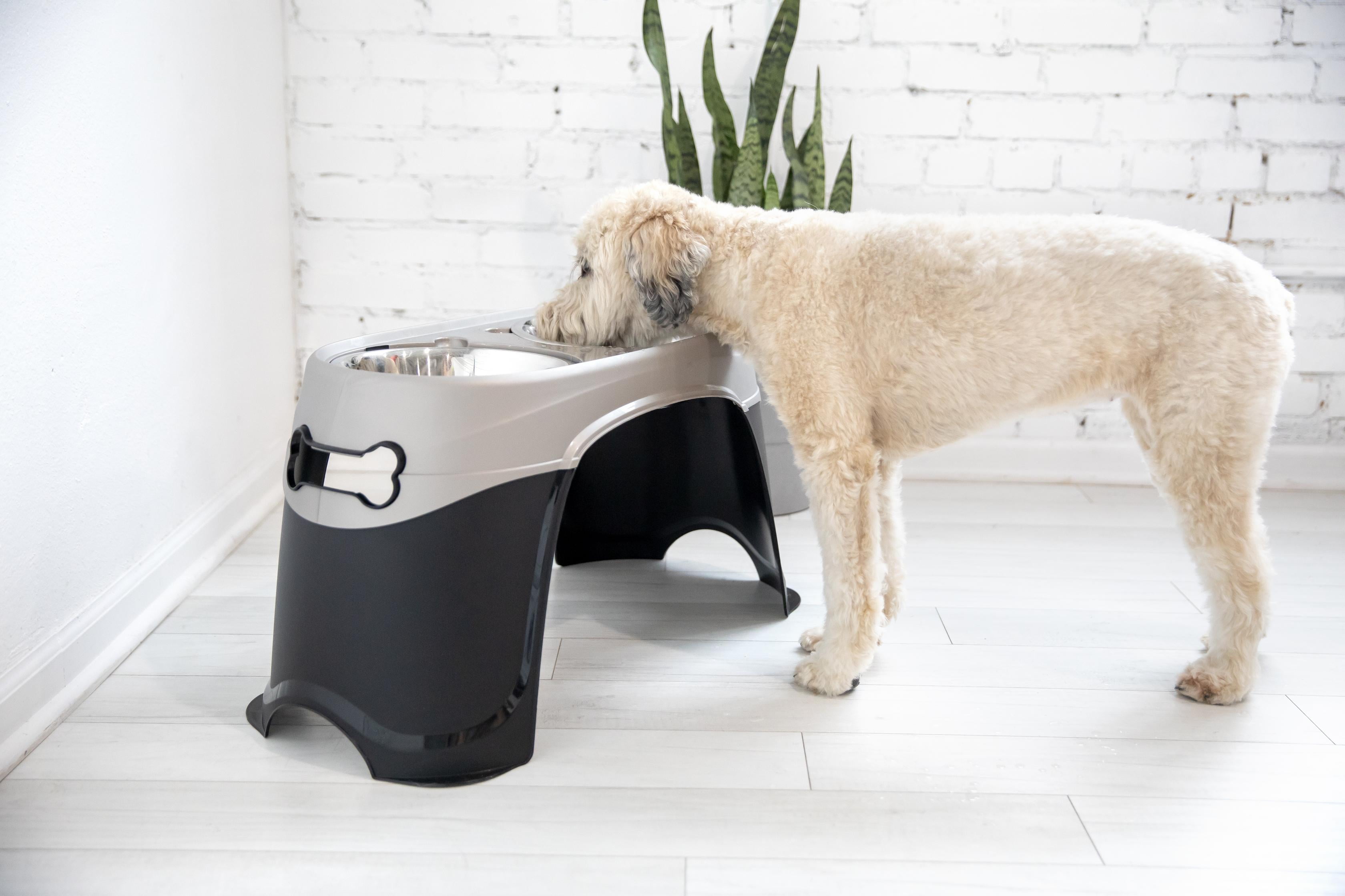 Petmate Easy Reach Diner Elevated Dog Bowl Station with 2 Stainless Steel Dog Bowls, Black, X-Large